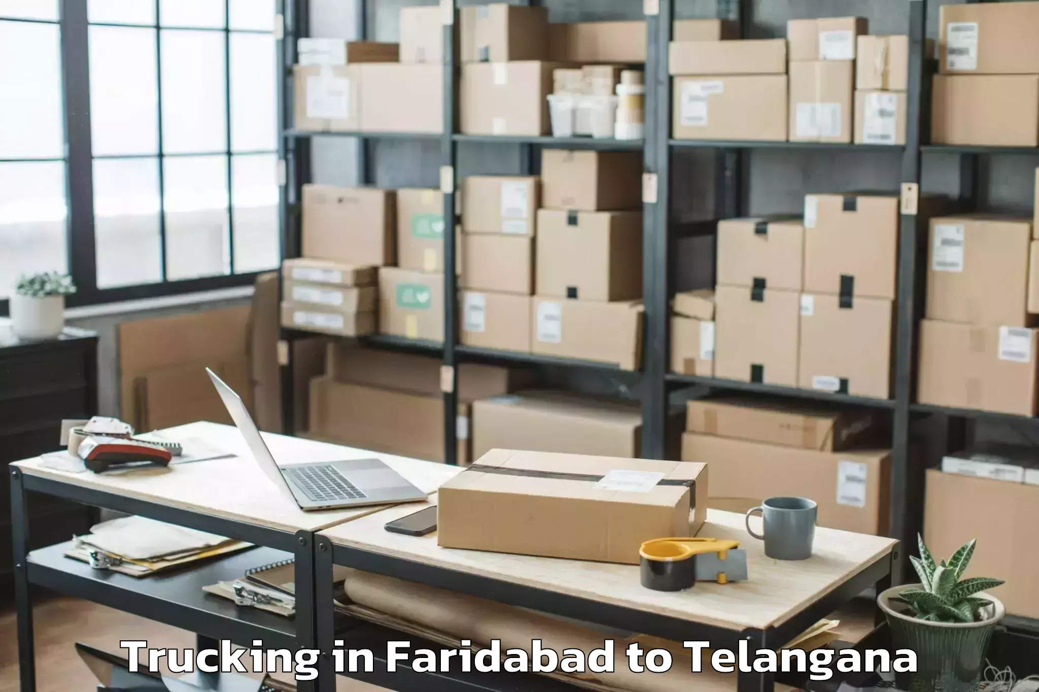 Book Faridabad to Manopad Trucking Online